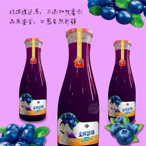 洛源食品 生榨蓝莓汁 玻璃瓶装 1.5L 6瓶 整箱 厂家直销 招商